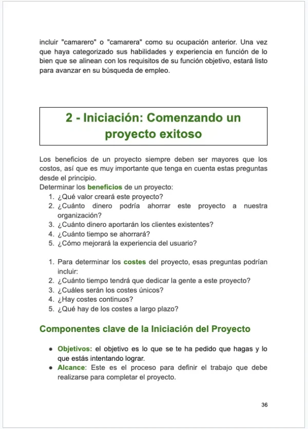 Guía Integral de Gestión de Proyectos: Teoría, Estrategia y Control (459 páginas)