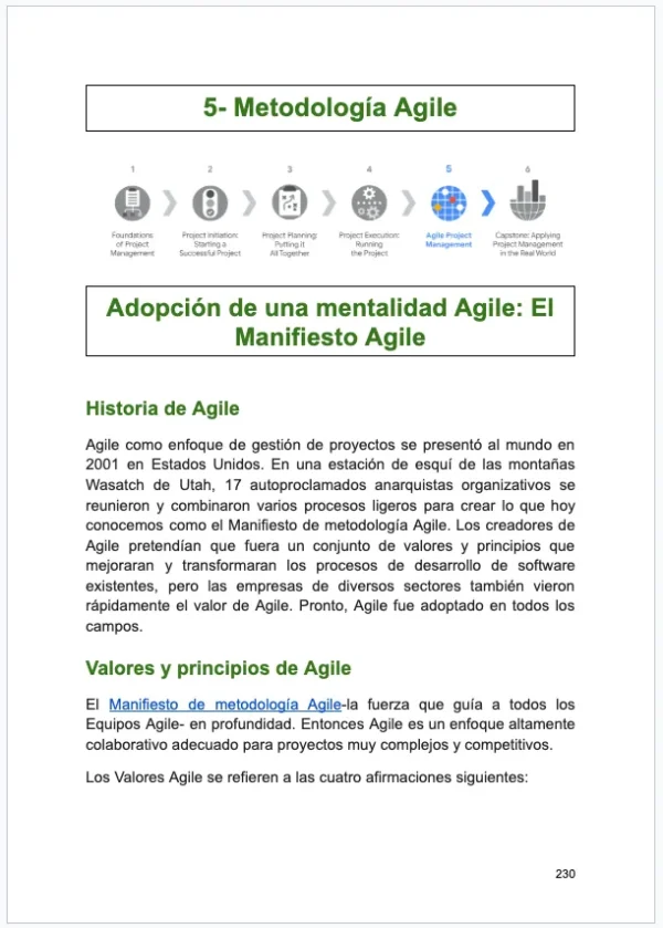 Guía Integral de Gestión de Proyectos: Teoría, Estrategia y Control (459 páginas)