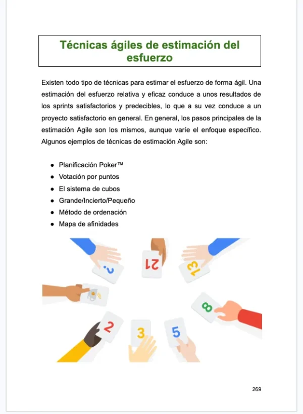 Guía Integral de Gestión de Proyectos: Teoría, Estrategia y Control (459 páginas)